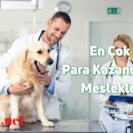 En Çok Para Kazandıran Meslekler