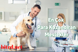 En Çok Para Kazandıran Meslekler